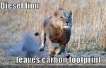 funny-pictures-diesel-lion-leaves-a-carbon-footprint1.jpg
