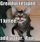 funny-pictures-recipe-for-a-gremlin.jpg