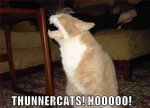 thundercats-scream.jpg
