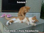Cathas-headache.jpg
