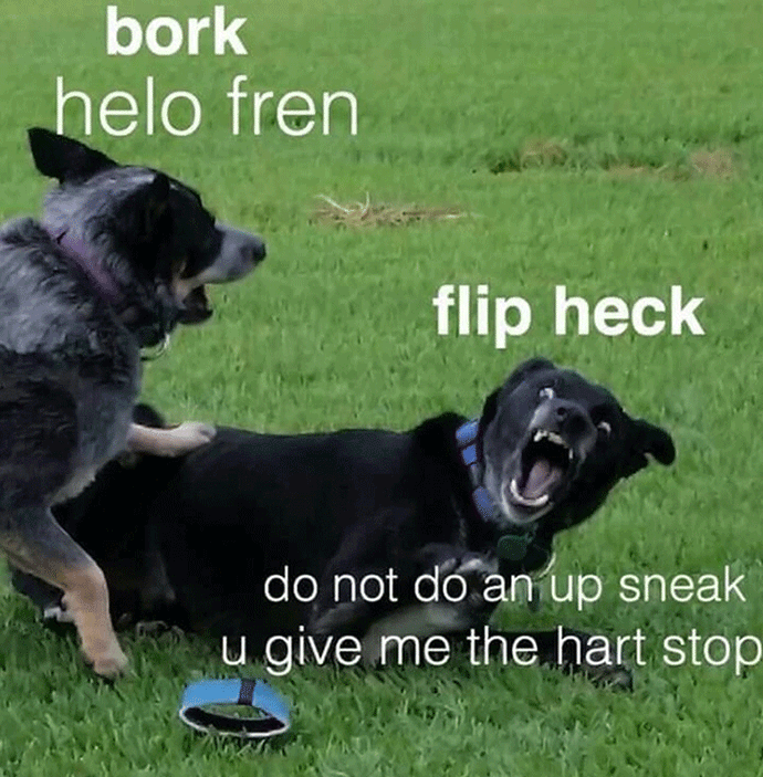 heck.png